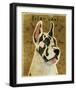 Great Dane (Harlequin)-John W^ Golden-Framed Giclee Print