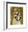 Great Dane (Harlequin)-John W^ Golden-Framed Giclee Print