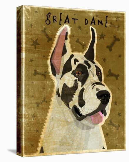 Great Dane (Harlequin)-John W Golden-Stretched Canvas