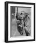 Great Dane Holding Chihuahua in Purse-Bettmann-Framed Photographic Print