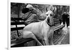 Great Dane in Central Park NYC B/W-null-Framed Photo