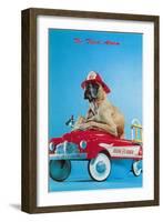 Great Dane in Toy Fire Wagon, Third Alarm-null-Framed Art Print