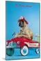 Great Dane in Toy Fire Wagon, Third Alarm-null-Mounted Art Print