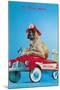 Great Dane in Toy Fire Wagon, Third Alarm-null-Mounted Art Print