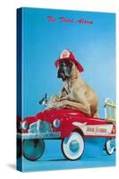 Great Dane in Toy Fire Wagon, Third Alarm-null-Stretched Canvas
