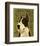 Great Dane (Mantle)-John W^ Golden-Framed Art Print