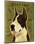 Great Dane (Mantle)-John W^ Golden-Mounted Art Print