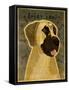 Great Dane No Crop-John W Golden-Framed Stretched Canvas