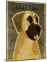 Great Dane No Crop-John W Golden-Mounted Giclee Print