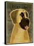 Great Dane No Crop-John W Golden-Framed Stretched Canvas