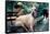 Great Dane on Central Park Bench NYC-null-Framed Stretched Canvas