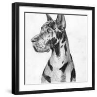 Great Dane Portrait I-Melissa Wang-Framed Art Print