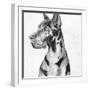 Great Dane Portrait I-Melissa Wang-Framed Art Print