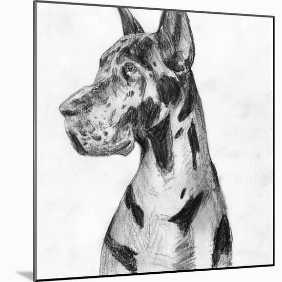 Great Dane Portrait I-Melissa Wang-Mounted Art Print