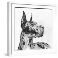 Great Dane Portrait II-Melissa Wang-Framed Art Print