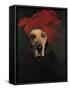 Great Dane-J Hovenstine Studios-Framed Stretched Canvas