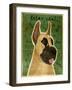 Great Dane-John W Golden-Framed Giclee Print