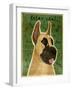 Great Dane-John W Golden-Framed Giclee Print