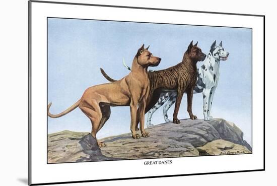 Great Danes-Louis Agassiz Fuertes-Mounted Art Print