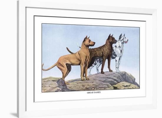 Great Danes-Louis Agassiz Fuertes-Framed Art Print