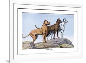 Great Danes-Louis Agassiz Fuertes-Framed Art Print