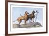 Great Danes-Louis Agassiz Fuertes-Framed Art Print