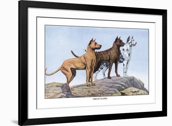 Great Danes-Louis Agassiz Fuertes-Framed Art Print