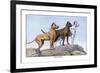 Great Danes-Louis Agassiz Fuertes-Framed Art Print