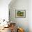 Great Dixter: Topiary and Flowers-Mary Kuper-Framed Giclee Print displayed on a wall