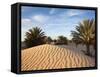 Great Dune at Dawn, Douz, Sahara Desert, Tunisia-Walter Bibikow-Framed Stretched Canvas