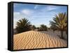 Great Dune at Dawn, Douz, Sahara Desert, Tunisia-Walter Bibikow-Framed Stretched Canvas