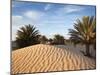 Great Dune at Dawn, Douz, Sahara Desert, Tunisia-Walter Bibikow-Mounted Photographic Print