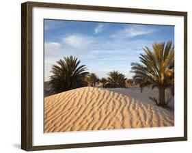 Great Dune at Dawn, Douz, Sahara Desert, Tunisia-Walter Bibikow-Framed Photographic Print