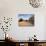 Great Dune at Dawn, Douz, Sahara Desert, Tunisia-Walter Bibikow-Mounted Photographic Print displayed on a wall