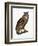 Great Eared Owl, 1841-Prideaux John Selby-Framed Giclee Print