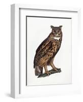 Great Eared Owl, 1841-Prideaux John Selby-Framed Giclee Print