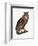 Great Eared Owl, 1841-Prideaux John Selby-Framed Giclee Print