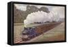 Great Eastern Railway Southend Train Near Brentwood, Essex-null-Framed Stretched Canvas