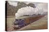 Great Eastern Railway Southend Train Near Brentwood, Essex-null-Stretched Canvas