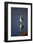 Great Egret and Reflection-DLILLC-Framed Photographic Print