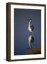 Great Egret and Reflection-DLILLC-Framed Photographic Print