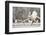 Great Egret (Ardea Alba) Drops a Fish and a Black Headed Gull (Larus Ridibundus) Flies to Catch It-Bence Mate-Framed Photographic Print