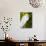 Great Egret (Ardea Alba), Everglades, Florida, United States of America, North America-Michael DeFreitas-Photographic Print displayed on a wall