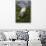 Great Egret (Ardea Alba) in Breeding Plumage, Osceola County, Florida, USA-Lynn M^ Stone-Mounted Premium Photographic Print displayed on a wall