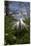 Great Egret (Ardea Alba) in Breeding Plumage-Lynn M^ Stone-Mounted Premium Photographic Print