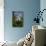 Great Egret (Ardea Alba) in Breeding Plumage-Lynn M^ Stone-Photographic Print displayed on a wall