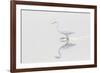 Great Egret, Ardea alba, in wetland in fog, Illinois-Richard & Susan Day-Framed Premium Photographic Print