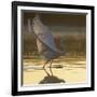 Great Egret (Ardea Alba) Landing on Water, Elbe Biosphere Reserve, Lower Saxony, Germany-Damschen-Framed Photographic Print