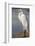 Great Egret (Ardea alba) on Tigertail Beach lagoon, Marco Island, Florida-Kristin Piljay-Framed Photographic Print