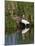 Great Egret, Caddo Lake, Texas, USA-Larry Ditto-Mounted Premium Photographic Print